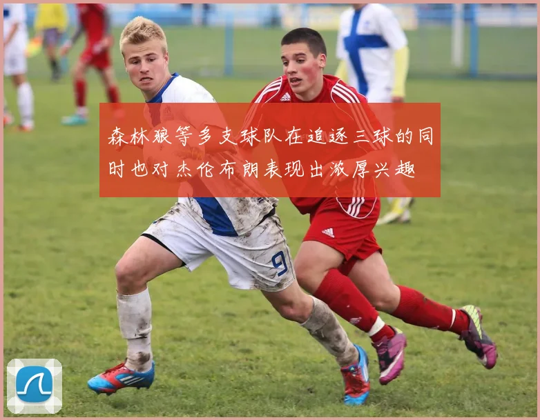 森林狼等多支球队在追逐三球的同时也对杰伦布朗表现出浓厚兴趣