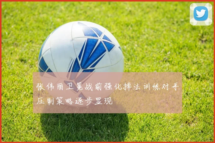 张伟丽卫冕战前强化摔法训练对手压制策略逐步显现
